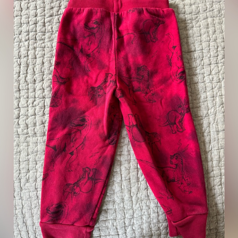 GAP Boys Red Hoodie and Pants Set - Picture 9 of 9